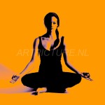 Artpicture.nl